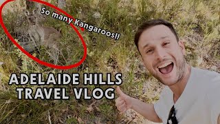 TRAVEL VLOG Adelaide Hills  Jurlique Farm amp Mount Lofty  Day 1 [upl. by Esbenshade]