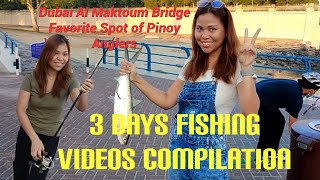 Al Maktoum Bridge 3 Days Fishing Video Compilations [upl. by Lim257]