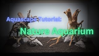 Aquascape Tutorial 60cm Nature Aquarium with DIY CO2 How to Step by Step Planted Aquarium Guide [upl. by Hance]