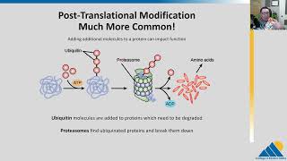 BIOL201 Ch166  Eukaryotic Translational and PostTranslational Gene Regulation [upl. by Longan753]