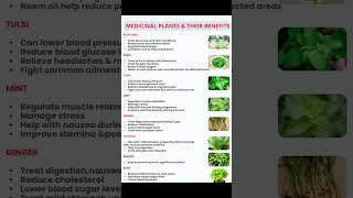 🚀MEDICINAL PLANTS amp THEIR BENEFITS🌟plants viralvideo ielts medicinalplants english plantslover [upl. by Nodnalb]