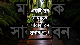 একটি সুখ মানুষকে সারা জীবন হাসায় না bestmotivationalquotesinbangla trending shorts love [upl. by Geminius22]