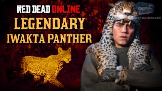 Red Dead Online  Legendary Iwakta Panther Mission Animal Field Guide [upl. by Llenrub806]