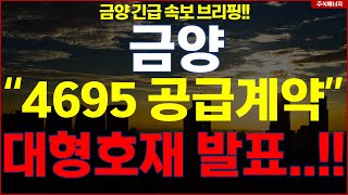 금양 quot4695 공급계약quot 대형호재 발표 금양 긴급 속보 브리핑 [upl. by Eemiaj89]