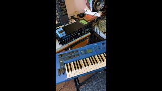 Alesis MIDIverb II appreciation post Yamaha CS1X processed w the MIDIverb  sounds great [upl. by Ainatnas]