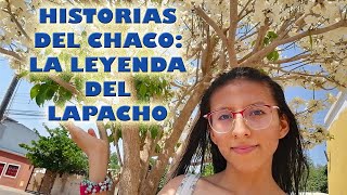 HISTORIAS DEL CHACO La Leyenda del Lapacho [upl. by Htehpaj]