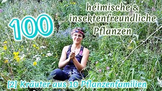 100 heimische amp insektenfreundliche Pflanzen 24 Pflanzen und Standortkunde  BestäuberWissen [upl. by Christin]