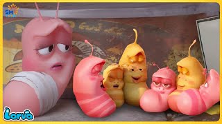 LARVA CARTOONS FULL EPISODE BIG FAMILY  CARTOONS FULL MOVIE  FUNNY CARTOON COMPILATION [upl. by Nevear]