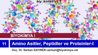 BİYOKİMYAI  Konu 11 Amino Asitler Peptidler ve ProteinlerI [upl. by Deys285]