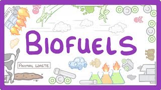 GCSE Physics  Biofuels 12 [upl. by Behn]