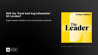 Will the ‘Paris bed bug infestation’ hit London [upl. by Neddra]