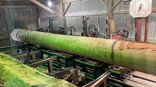 Sawmilling a Red Oak 22 Foot Long 14x14 34 [upl. by Libyc]