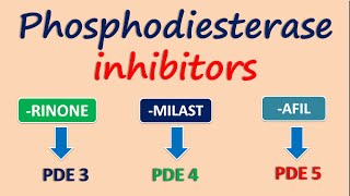 Phosphodiesterase inhibitors [upl. by Mallory]