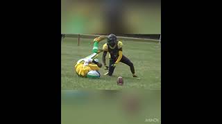 Amari Green went off vs Greenview Eagles [upl. by Asillim641]