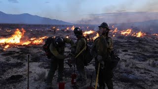 Buschfeuer wütet in kalifornischer MojaveWüste [upl. by Ialokin71]