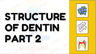 Dentinal Tubules  Dentin Histology  Structure of Dentin [upl. by Ardehs]