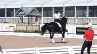 How To Do Canter Pirouettes With Robert Dover and Debbie McDonald [upl. by Rusell]