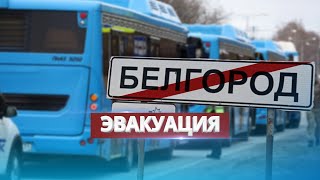 Эвакуация из Белгородской области РФ  Срочные меры [upl. by Einnej]