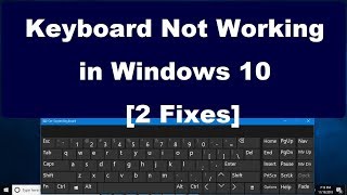 Keyboard Not Working in Windows 10 2 Fixes [upl. by Malita14]