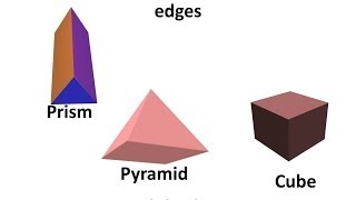 Maths  What is a Polyhedron  Regular and Irregular polyhedron  English [upl. by Gayler648]