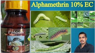 alphamethrin 10 ec uses in hindialphamethrin 10 ecalphamethrin 10 ec tamil [upl. by Ahtebbat607]