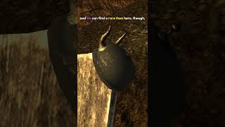 The Rare Helmets of Red Pass in Fallout New Vegas [upl. by Maite]