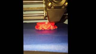 Monoprice Select Mini 3D Printer  Cat Test Print [upl. by Anirehc65]