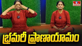 Bhramari Pranayamaa Bee Breath Benefits  భ్రమరీ ప్రాణాయామం  HARIKA Yogasana  hmtv [upl. by As]