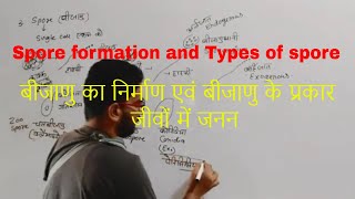 Spore Formation in Hindi  Types of spore  बीजाणु के प्रकार  reproduction in human [upl. by Mathilda772]