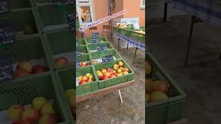 Potato Festival in Dahlem berlin germany organic farm [upl. by Weiser]