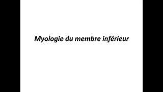 Myologie du membre infériure [upl. by Nonac]