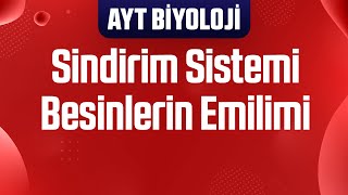 17 Besinlerin Emilimi Aras Tuğcu Çizim ve Tablo Destekli [upl. by Winonah]