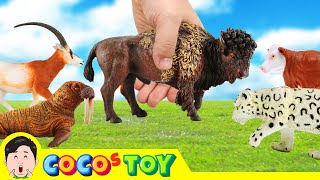 EN Let Animals go home 3 animals names and sound for kids animation collectaㅣCoCosToy [upl. by Carman]