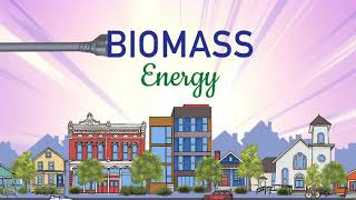 What is Biomass A Renewable Energy Source that Puts Organic Waste to Use [upl. by Kristo391]