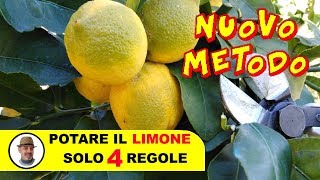 POTARE IL LIMONE SOLO 4 REGOLE [upl. by Turner]