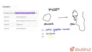 Production of sperms from spermatids is  12  HUMAN REPRODUCTION  BIOLOGY  DINESH PUBLICATIO [upl. by Gael]