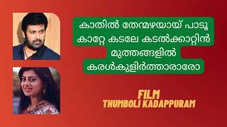 Kaathil Then Mazhayayi Malayalam Song Karaoke With Lyrics  Thumboli Kadappuram [upl. by Etteloc]