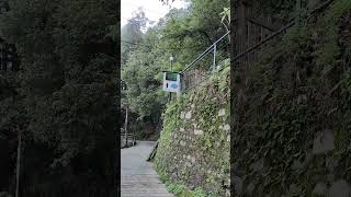 Landour Mussoorie  Rokeby Manor  landour mussoorie shorts short song hills mountain [upl. by Nowaj]