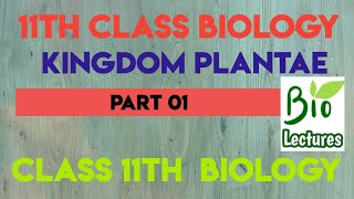 Kingdom Plantae Part01 for class 11th Biology [upl. by Ahseiym621]