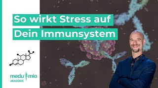 Hormone So kann Stress Dein Immunsystem beeinflussen 🧠​ Thorsten Schmitt [upl. by Solotsopa]