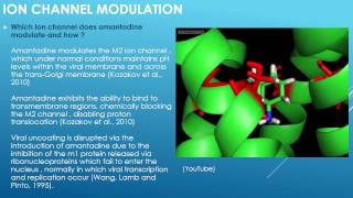 Amantadine  Ion Channel Modulation [upl. by Ellehsem118]