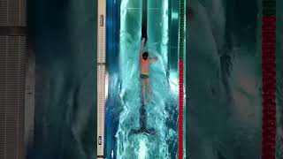 Relaxed and easy freestyle swimming swimming [upl. by Brookhouse]