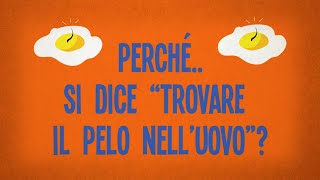 Perché si dice “trovare il pelo nell’uovo” [upl. by Aracal]