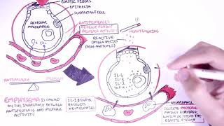 Emphysema Pathophysiology COPD [upl. by Ahsilahk984]