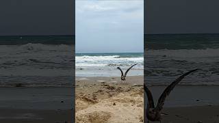 🌊 Playa Flamenca Beach Día de otoño  Autumn day 🙁 Orihuela Costa España  Spain 🇪🇦 [upl. by Onilatac]