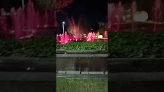 Hathi wali video Chhotu Dada 444 [upl. by Kcerb]