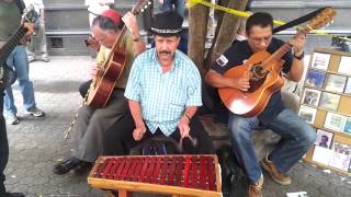 Downtown San Jose Costa Rica Street Music [upl. by Naicad208]