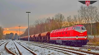 Ein UBoot BR 229 auf der OHEElbmarschbahn [upl. by Lemuela753]