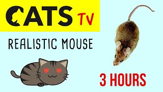 CATS TV  Realistic Mouse 🐁 HD  3 HOURS Video Game for Cat amp Dog [upl. by Ydna203]