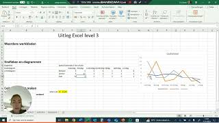 excel level 3  grafieken en diagrammen [upl. by Wichern]